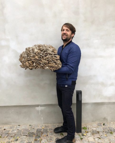 René Redzepi Noma